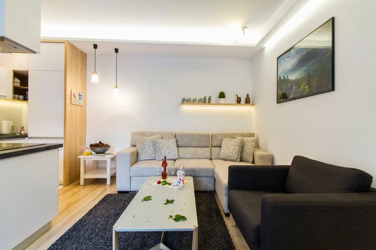 Apartament Pajo I -Rezydencja Tatry--Grota Solna--Taras--Garaz Podziemny Zakopane Poland