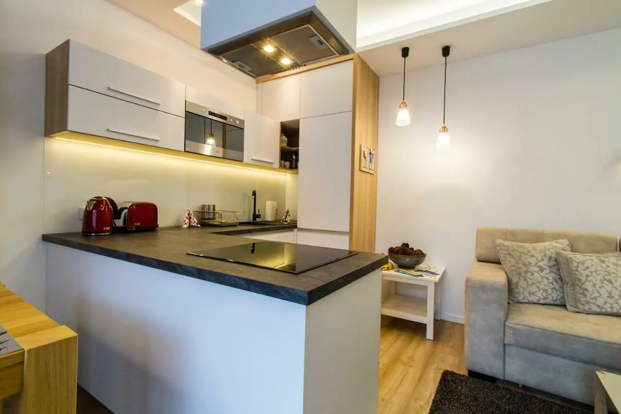 Apartament Pajo I -Rezydencja Tatry--Grota Solna--Taras--Garaz Podziemny Zakopane